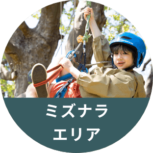 ミズナラエリア