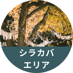 シラカバエリア