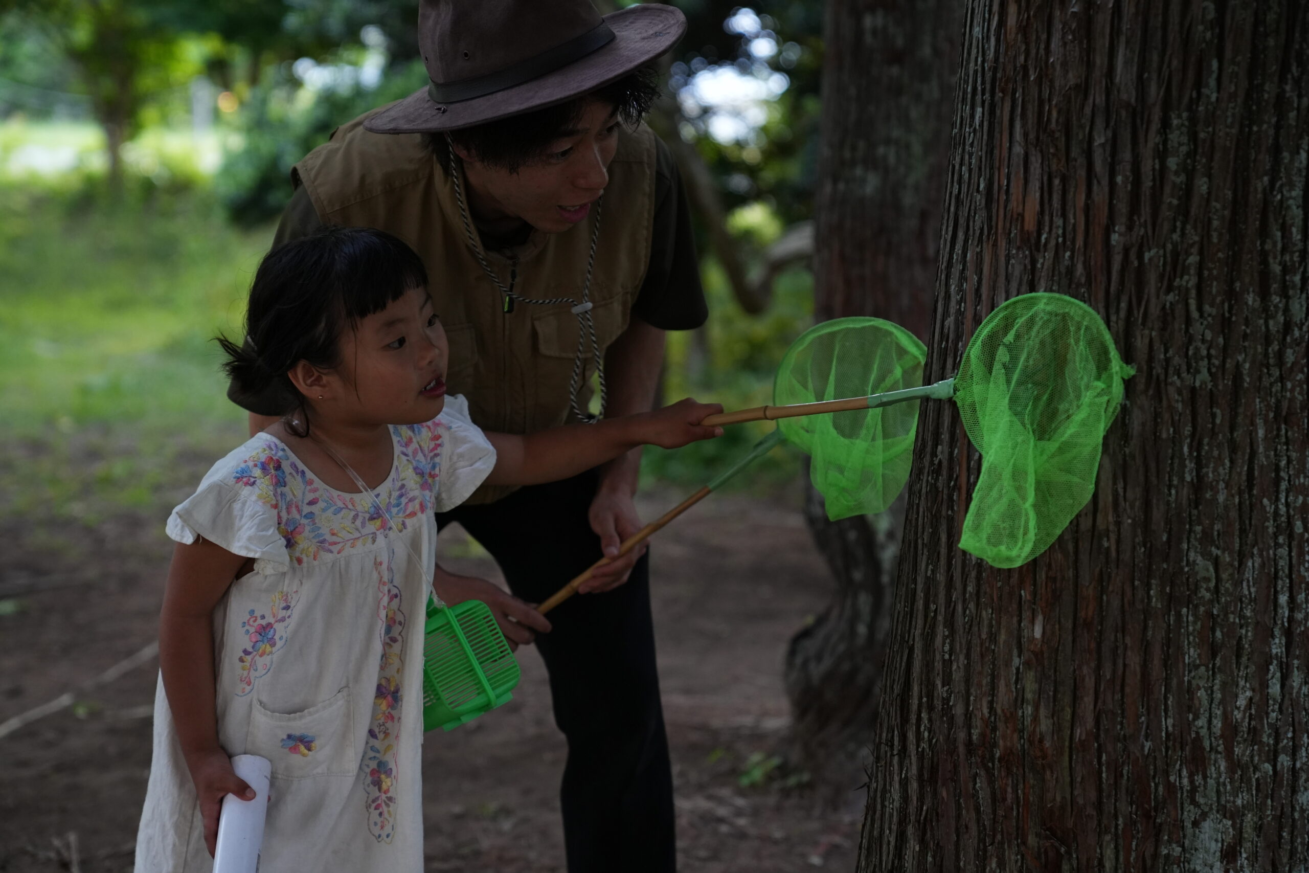 森と星を味わう、八ヶ岳の夏の夜