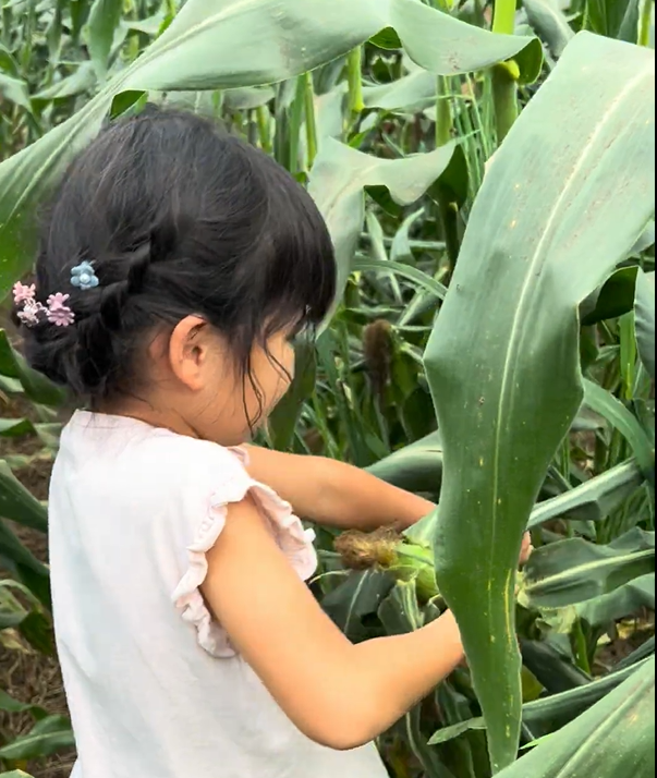 自然素材でつくる本格クラフト体験