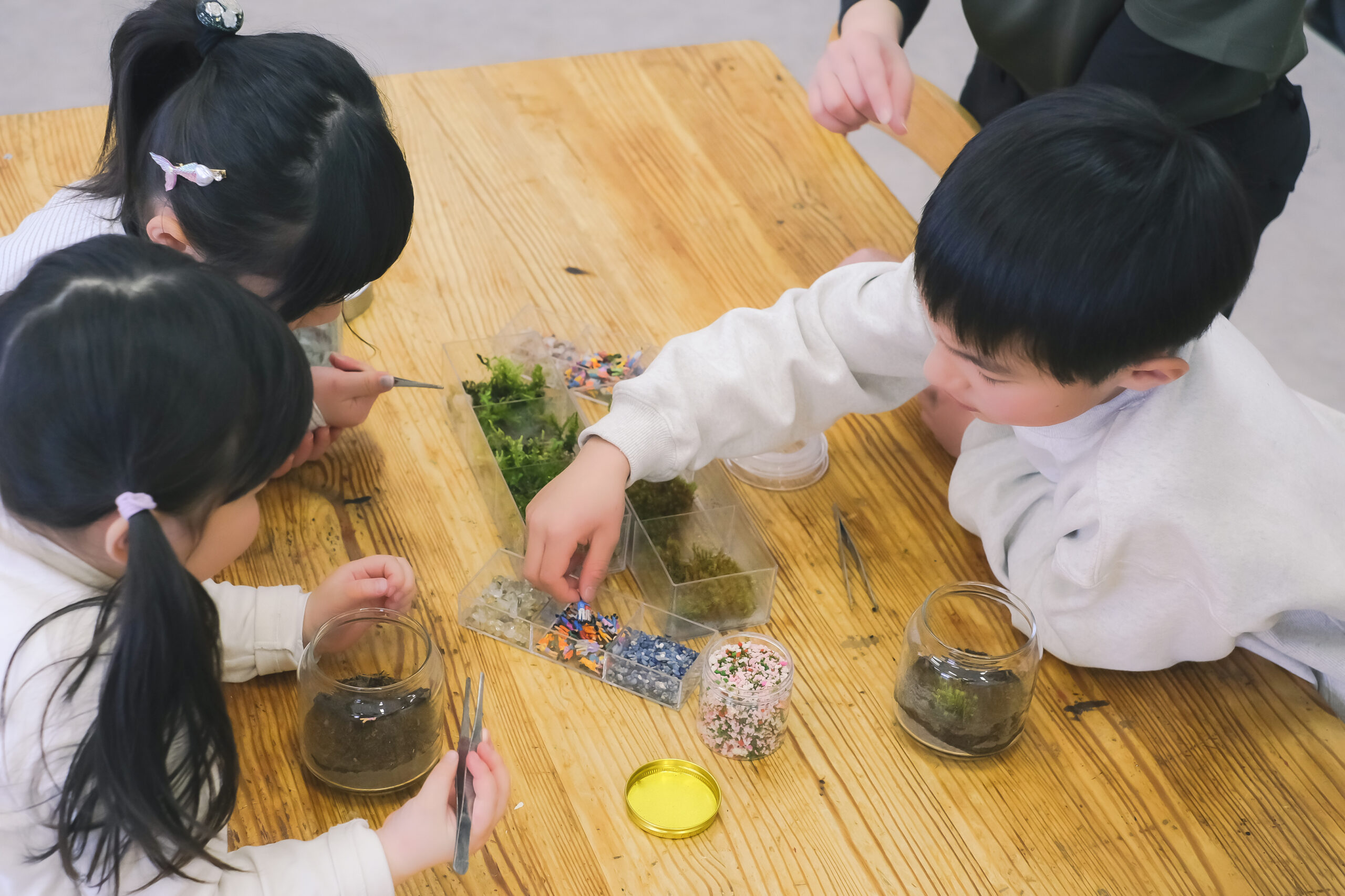自分だけの苔テラリウムを作ろう！