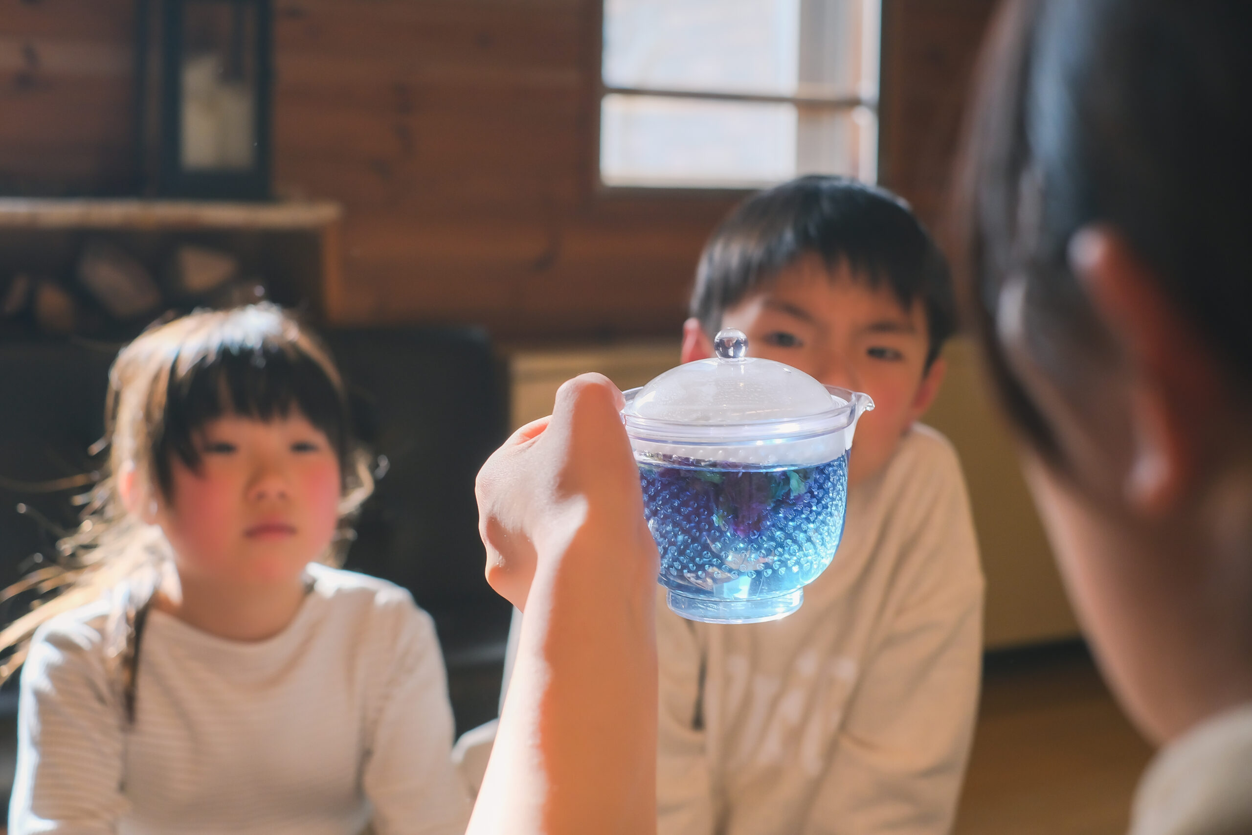 色合いや食感が楽しめる本格食体験