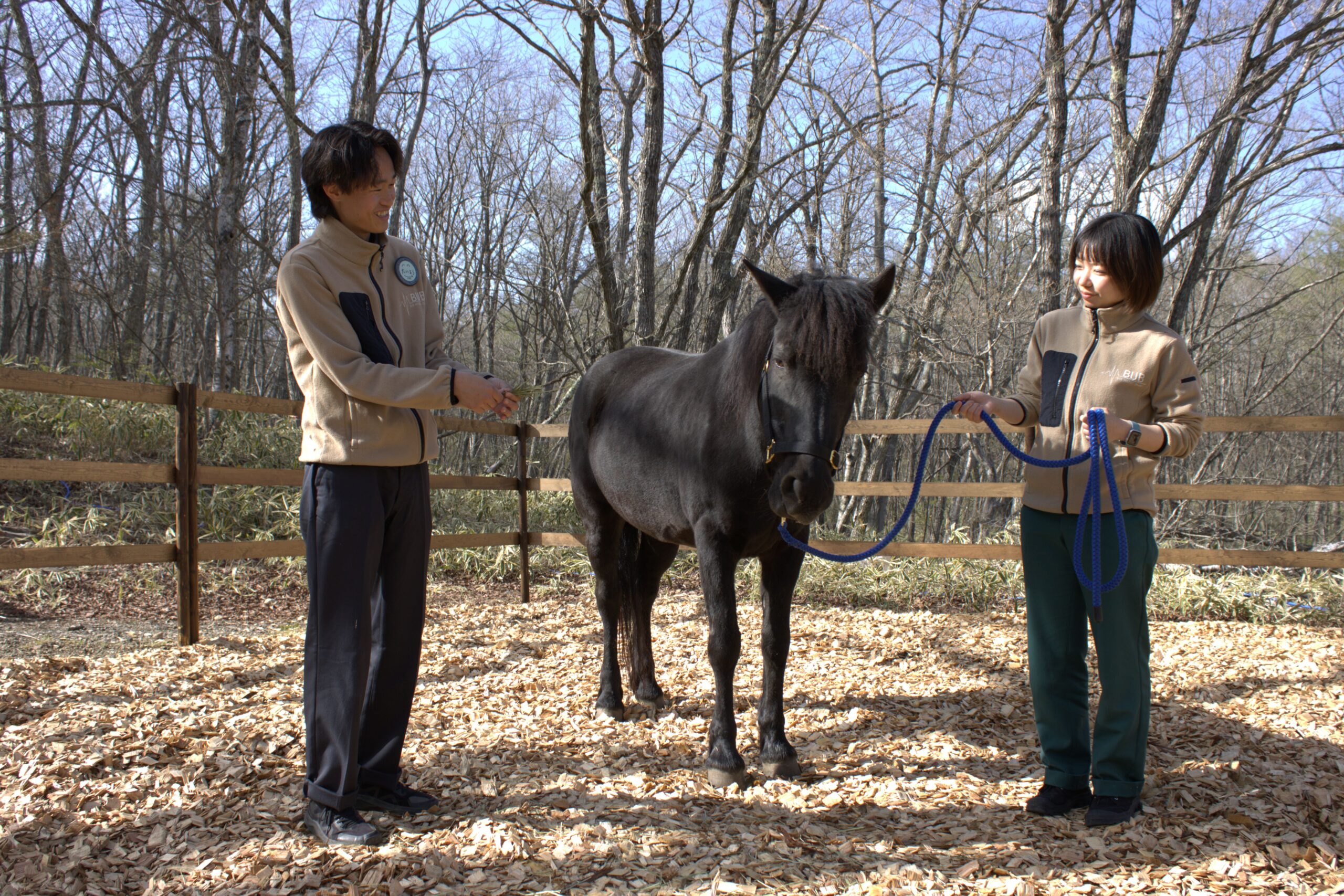 馬と友達になる体験！はじめての引き馬にドキドキわくわく！